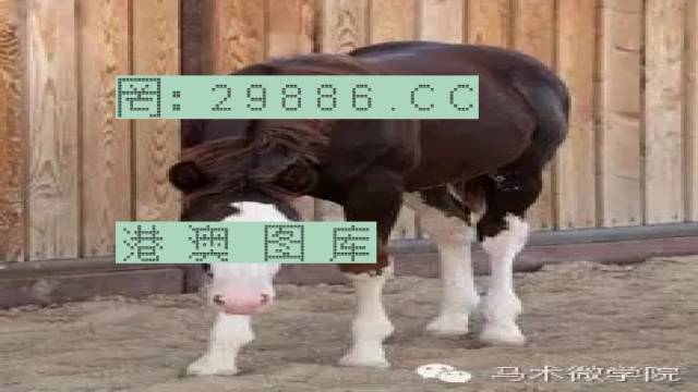 揭秘446999一肖中特馬之秘密，掌握中獎(jiǎng)玄機(jī)！，揭秘特馬中獎(jiǎng)玄機(jī)，446999一肖中的秘密大揭秘！
