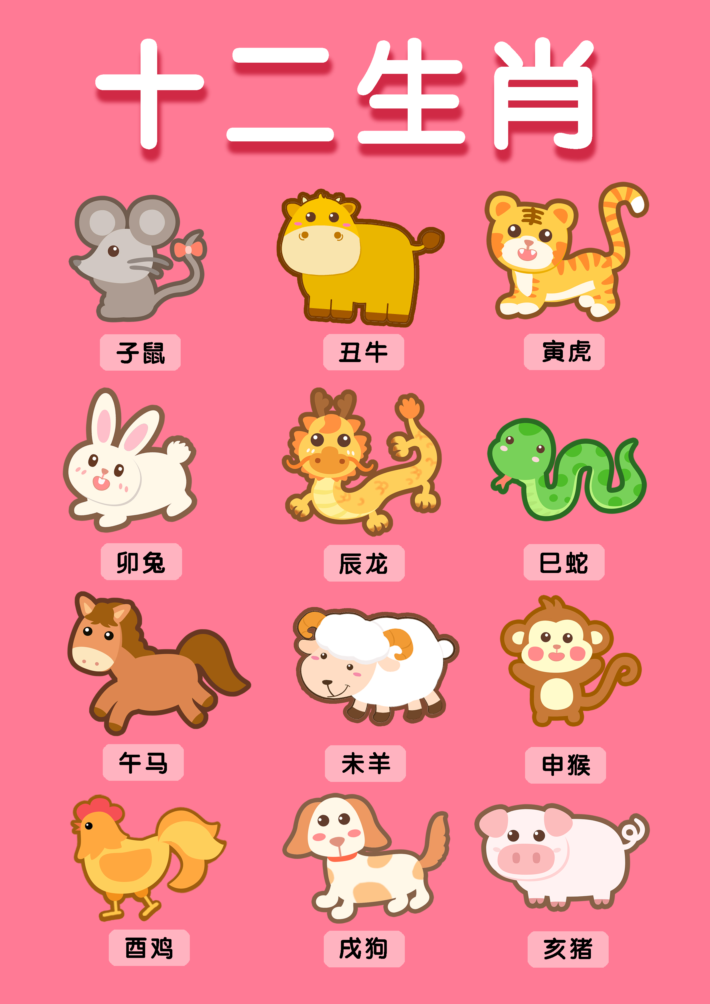 一肖有哪些生肖——生肖文化深度解析，生肖文化深度解析，揭秘十二生肖中的一肖奧秘