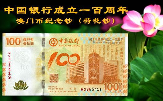 新澳門掛牌正版掛牌完整掛牌，探索與解析，澳門正版掛牌詳解，探索完整流程與解析