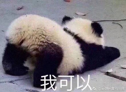 澳門精準(zhǔn)四不像最新正版，揭秘與探索，澳門精準(zhǔn)四不像揭秘與探索最新正版資訊