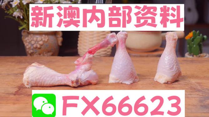 澳門一碼中精準一碼免費中特論壇，探索精準預測的魅力與優(yōu)勢，澳門一碼精準預測探索論壇，優(yōu)勢與魅力展現(xiàn)