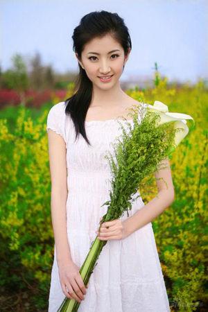新澳門生肖走勢(shì)圖精準(zhǔn)版，解讀與SEO策略，新澳門生肖走勢(shì)圖精準(zhǔn)解讀與SEO策略揭秘