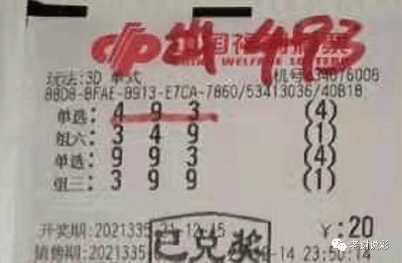 新奧門彩天天開獎資料一網(wǎng)羅萬象，揭秘彩票奧秘，揭秘彩票奧秘，新奧門彩天天開獎資料一網(wǎng)羅萬象