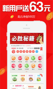 王中王欲錢請(qǐng)猜一肖，揭秘生肖之謎與SEO策略，揭秘生肖之謎與SEO策略，王中王欲錢請(qǐng)猜一肖的奧秘