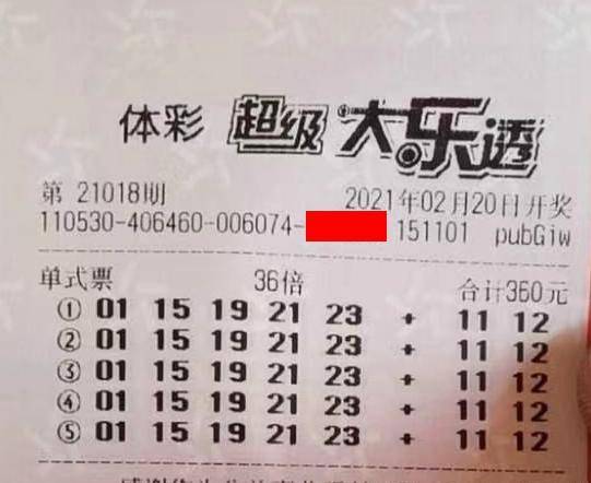 王中王018期指一生肖，揭秘背后的奧秘與意義，揭秘生肖奧秘，王中王生肖背后的意義與秘密