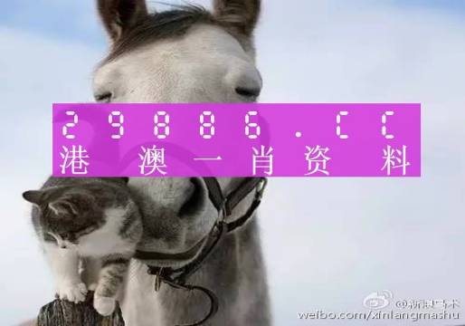 揭秘劉伯溫四肖選一碼的意思——探尋背后的故事與真相，揭秘劉伯溫四肖選一碼背后的真相與故事