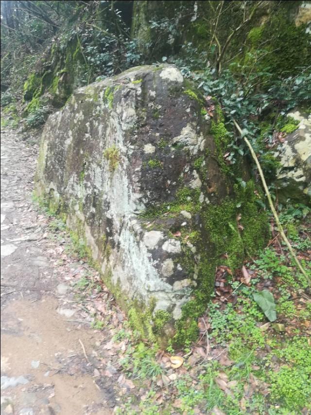 揭秘四不像劉伯溫一肖圖——探尋背后的神秘故事與SEO奧秘，揭秘四不像劉伯溫一肖圖背后的神秘故事與SEO奧秘探索