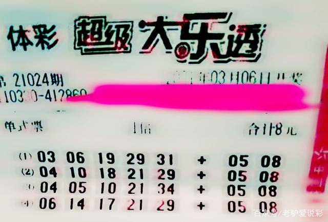 王中王024期指一生肖，深度解讀與SEO優(yōu)化策略，王中王024期生肖深度解讀與SEO優(yōu)化策略全攻略
