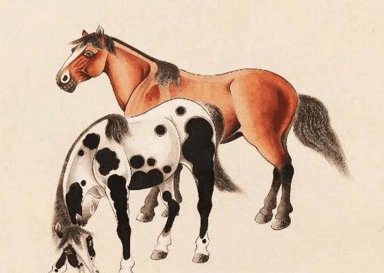 馬一王中王特平一肖圖，深度解析與SEO優(yōu)化策略，深度解析馬一王中王特平肖圖，SEO優(yōu)化策略探討