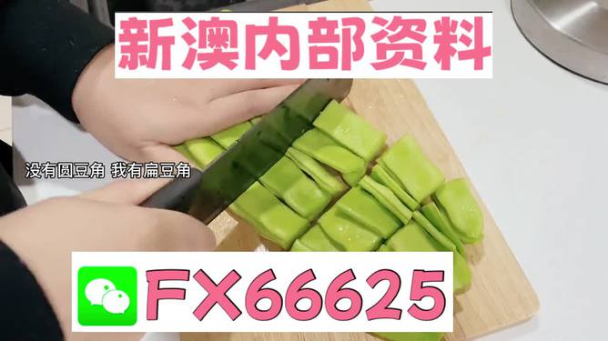 新澳精選資料免費(fèi)提供，探索優(yōu)質(zhì)資源的海洋，新澳精選資料免費(fèi)探索，優(yōu)質(zhì)資源海洋的開啟