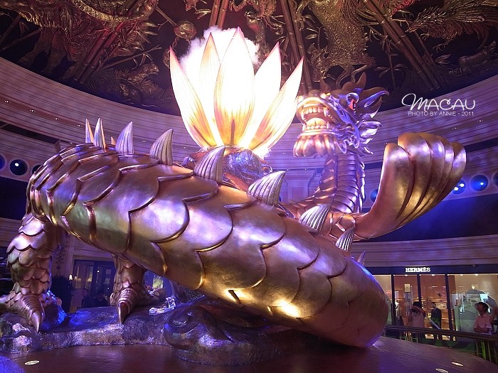 澳門無錯(cuò)七尾，探索與解析，澳門無錯(cuò)七尾，深度探索與解析