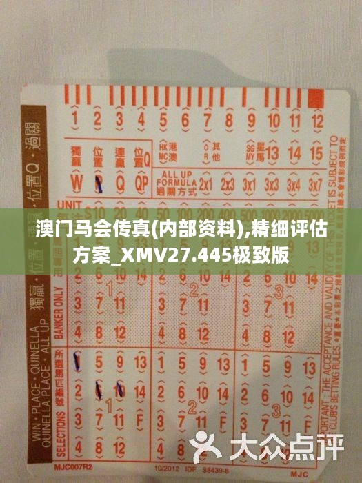 馬會傳真正版，探索正版馬會文化的魅力與價值，正版馬會文化的魅力與價值探索