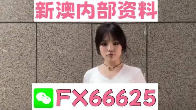 澳門正版資料大全完整版，探索與揭秘2025年澳門正版資料的世界，澳門正版資料大全揭秘，探索未來至2025年的奧秘世界