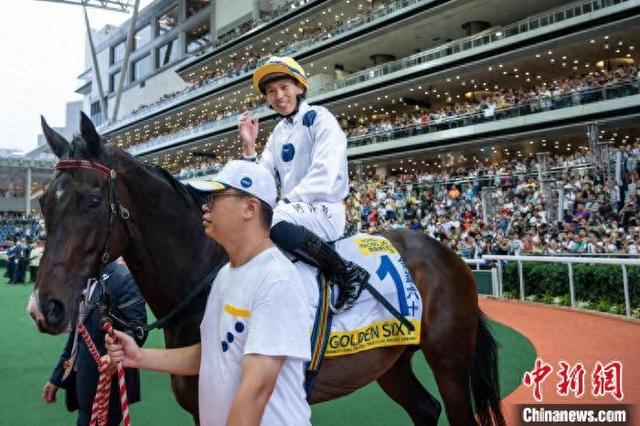 香港特馬王資料免費公開，揭秘背后的秘密，香港特馬王資料揭秘，免費公開背后的秘密