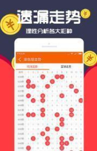 王中王三肖一碼，解密背后的故事與SEO優(yōu)化策略，揭秘王中王三肖一碼背后的故事與SEO優(yōu)化策略揭秘