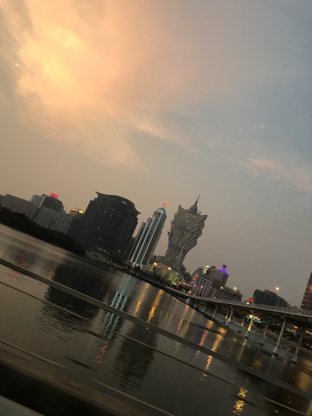 澳門今晚必開一肖一特，深度解析與預測，澳門今晚生肖特碼深度解析與預測，一肖一特必開趨勢探討