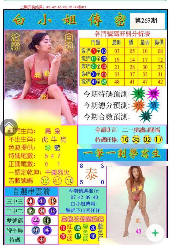 揭秘白小姐與王中王平持一肖的神秘面紗，白小姐與王中王，揭秘神秘生肖預(yù)測面紗