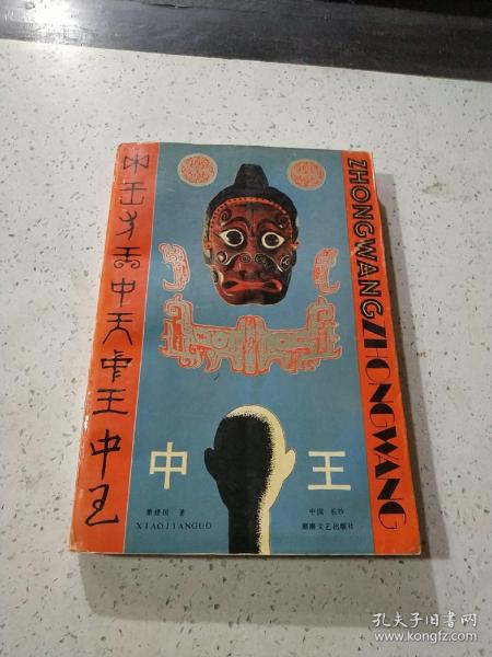王中王資料與肖中特，深度解析，王中王資料與肖中特深度剖析