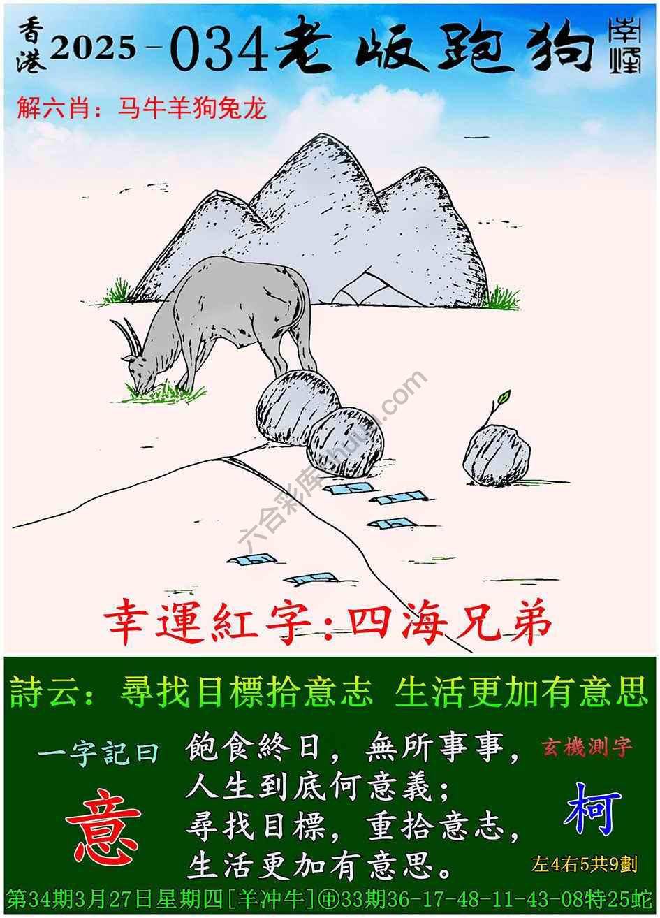 全新升級！探索7777788888新版跑狗資料，全新升級！探索跑狗資料7777788888新版揭秘