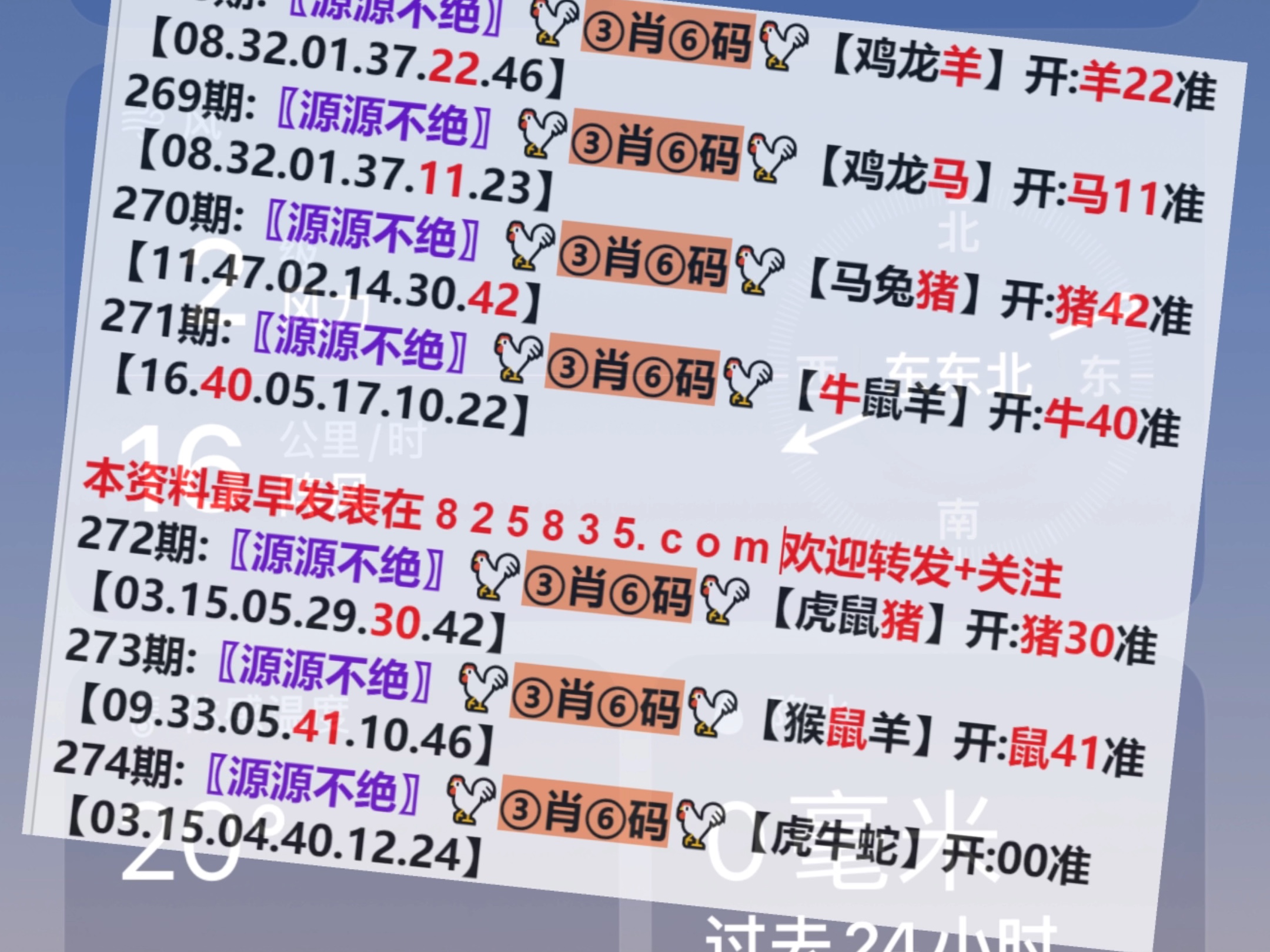 澳門一肖一碼開獎結(jié)果，揭秘彩票背后的秘密，澳門彩票開獎結(jié)果揭秘，一肖一碼背后的秘密