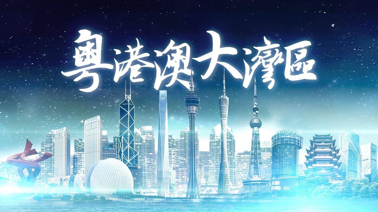 2025年香港正版免費資料全面解析，香港正版免費資料全面解析（2025版）