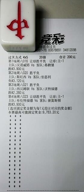 揭秘買一肖中獎(jiǎng)的賠率與風(fēng)險(xiǎn)，你真的準(zhǔn)備好了嗎？，揭秘買一肖中獎(jiǎng)背后的賠率與風(fēng)險(xiǎn)，你真的做好準(zhǔn)備了嗎？