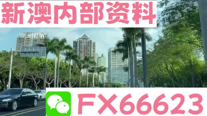 新澳精準(zhǔn)資料免費(fèi)提供，探索第221期的奧秘與價值，新澳精準(zhǔn)資料揭秘第221期奧秘與價值