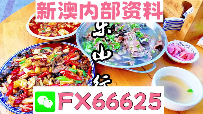 新澳全年免費資料大全——探索與學習的不竭源泉，新澳全年免費資料大全，無盡的學習資源寶庫