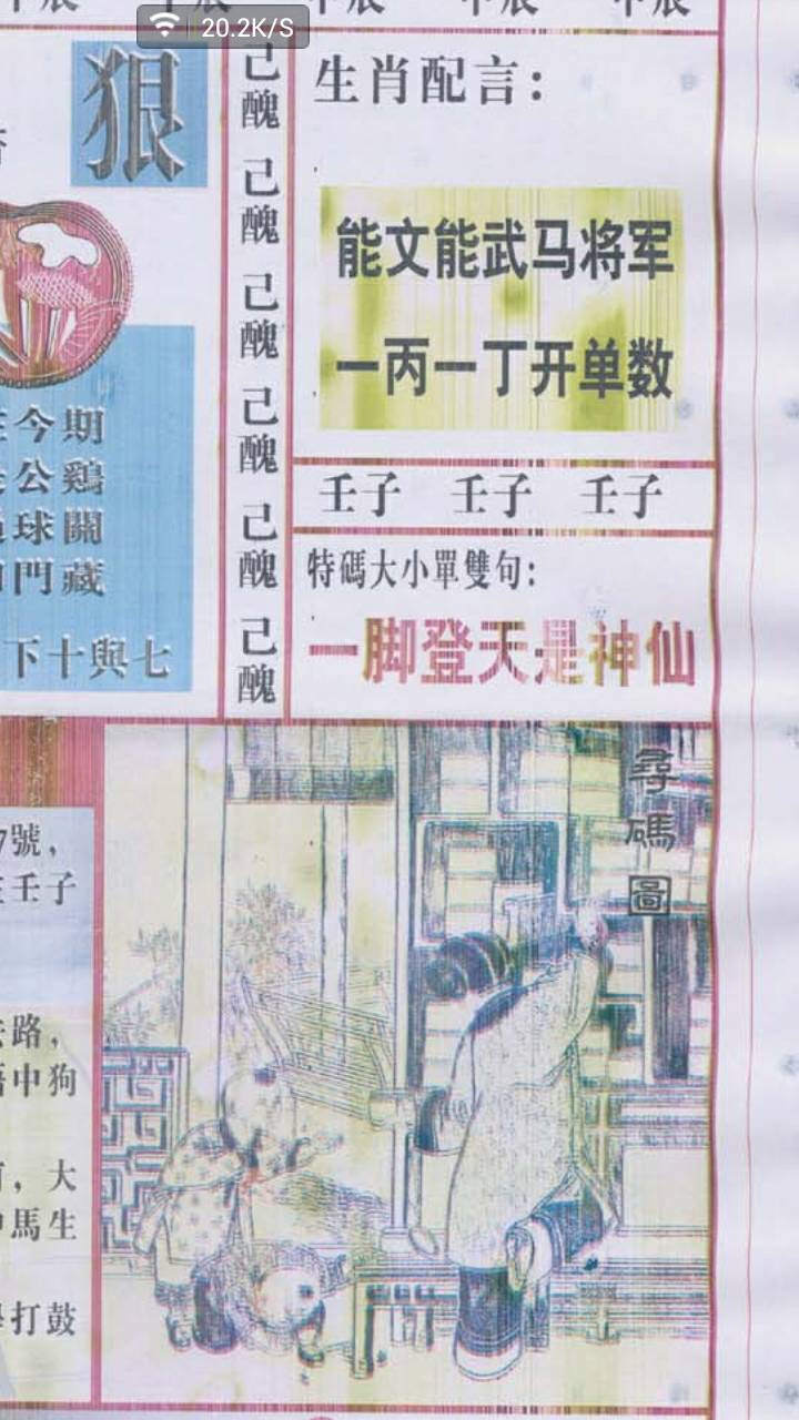 仍是王中王，揭秘生肖之王的神秘面紗——打一生肖，揭秘生肖之王，王中王的神秘面紗——生肖揭秘
