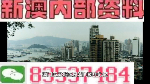 澳門全年最全免費資料大全，探索無盡的資源寶庫，澳門全年免費資料寶庫，探索無盡資源之旅