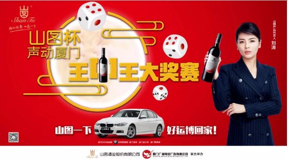 揭秘王中王背后的故事，從肖中的視角看其在SEO領(lǐng)域的輝煌成就，肖中視角下的王中王，SEO領(lǐng)域的輝煌成就揭秘