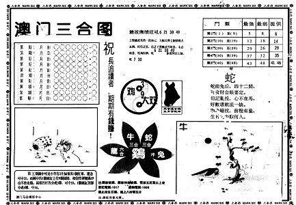 王中王資料一肖中特官婆，深度解析與SEO優(yōu)化策略，王中王資料一肖中特官婆深度解析與SEO優(yōu)化策略探討