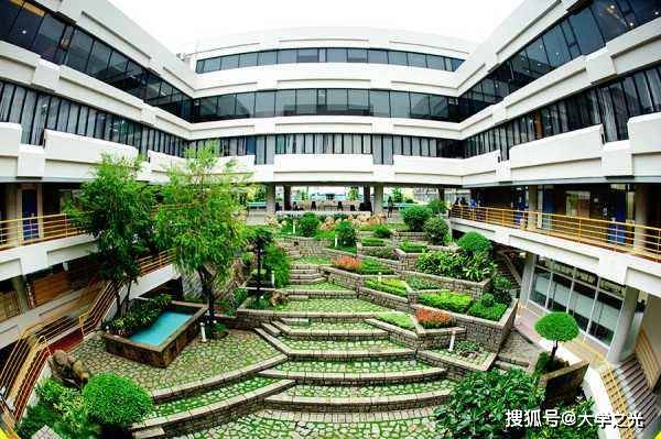 新澳芳草，最精準(zhǔn)的探尋與體驗(yàn)，新澳芳草，精準(zhǔn)探尋與獨(dú)特體驗(yàn)