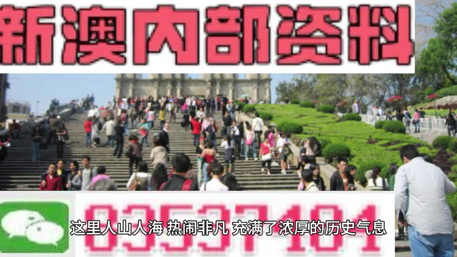 澳門(mén)最精準(zhǔn)免費(fèi)資料大全旅游團(tuán)，探索澳門(mén)之旅的完美選擇，澳門(mén)最精準(zhǔn)免費(fèi)資料大全旅游團(tuán)，探索澳門(mén)之旅的不二之選