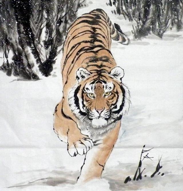 猛虎下山王中王，揭秘一生肖的神秘魅力，揭秘生肖之王——猛虎下山之神秘魅力