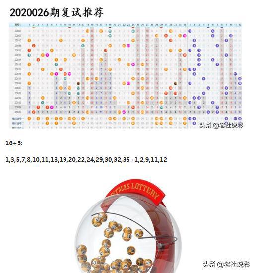 王中王026期指一生肖，深度解讀與SEO優(yōu)化策略，王中王026期生肖深度解讀與SEO優(yōu)化策略全解析