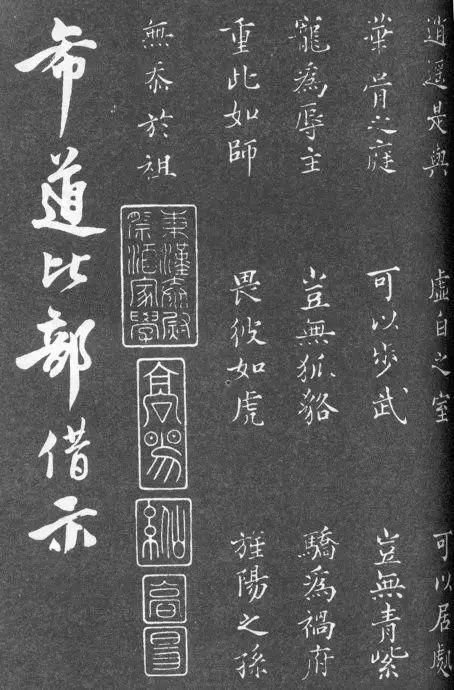 一肖二碼中特的意思解析，一肖二碼中特的意思深度解析