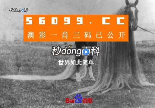 澳門一肖一碼一必中一肖舟山，揭秘彩票秘密，掌握幸運(yùn)之鑰，揭秘彩票秘密，澳門一肖一碼必中秘籍與幸運(yùn)之鑰在舟山開啟