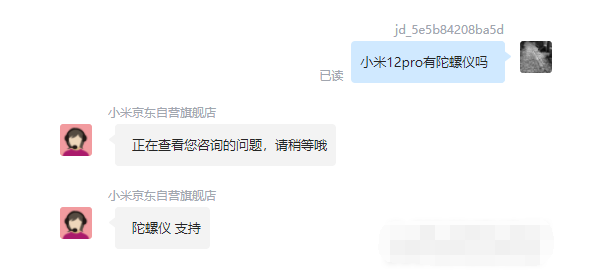 王中王一肖碼，探索關(guān)鍵詞背后的奧秘，王中王一肖碼，揭秘關(guān)鍵詞背后的奧秘