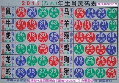 揭秘2025十二生肖與數(shù)字彩票的神奇聯(lián)系——49碼表全解析，揭秘十二生肖與數(shù)字彩票的神秘聯(lián)系，2025年49碼表深度解析