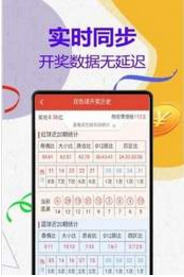 澳門王中王計(jì)劃平特一肖，揭秘與探索，澳門王中王計(jì)劃揭秘，平特一肖的秘密探索