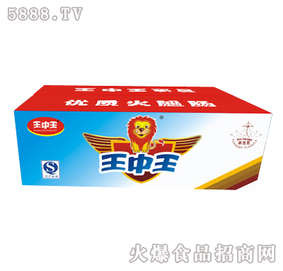 王中王一肖特圖，揭秘背后的故事與魅力，揭秘王中王一肖特圖的背后故事與魅力
