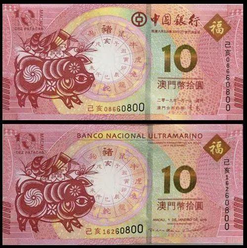 澳門天天彩期期精準(zhǔn)十二生肖預(yù)測(cè)——揭秘彩票背后的秘密，澳門天天彩期期精準(zhǔn)十二生肖預(yù)測(cè)，彩票背后的秘密大揭秘