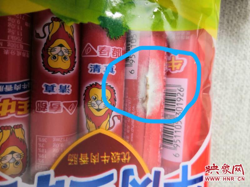 王中王孟料大全與生肖揭秘，揭秘打一肖背后的秘密，王中王孟料大全與生肖揭秘，探尋背后神秘的生肖秘密