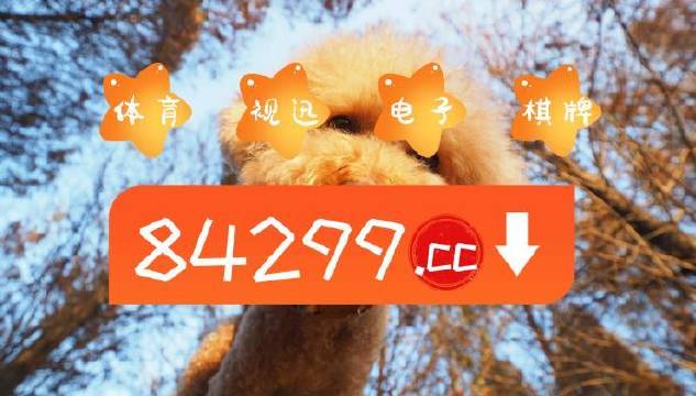 今期必中一肖一碼白小姐，揭秘彩票背后的秘密與策略，揭秘彩票背后的秘密與策略，白小姐今期必中一肖一碼解析