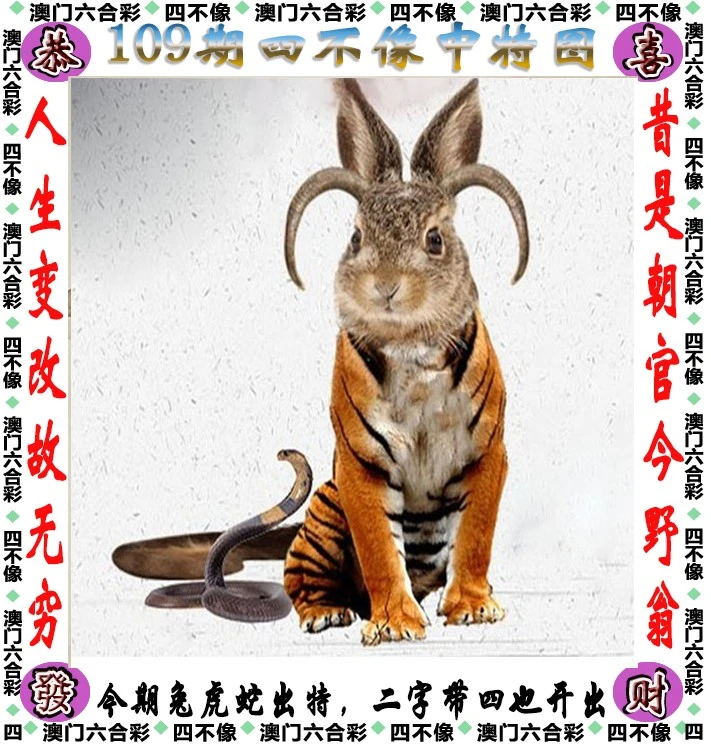 四不像王中王資料一肖，深度解析與探索，四不像王中王資料一肖，深度解析與探索揭秘