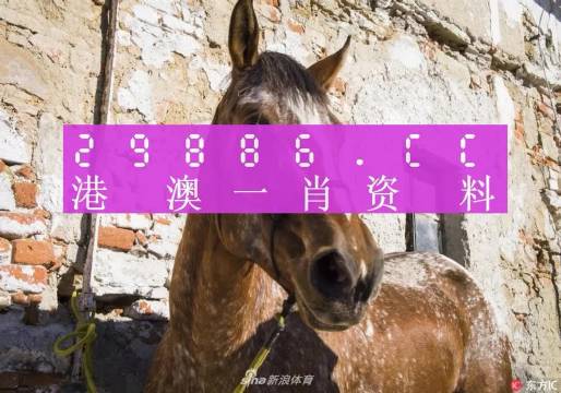 王中王資料一門(mén)肖中，深度解析與探索，王中王資料一門(mén)肖詳解，深度解析與探索