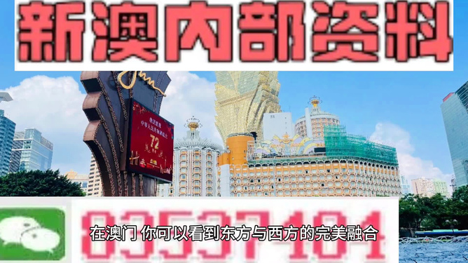 新澳新澳門(mén)正版資料，探索與解析，新澳新澳門(mén)正版資料深度解析與探索