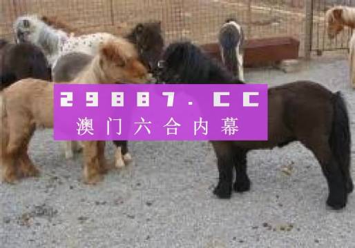 王中王平特一肖四不像圖，深度解析與SEO優(yōu)化策略，王中王平特一肖四不像圖，深度解析與SEO優(yōu)化策略探討