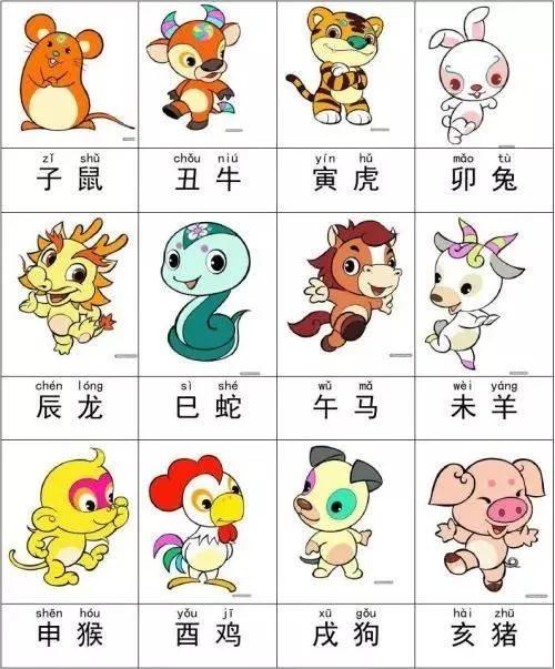 一肖有哪幾個(gè)生肖，生肖一肖包含哪些生肖